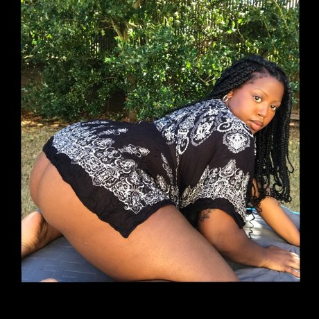 Bay_ beautiful star archive