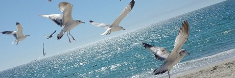 Aneth michel model pretty image