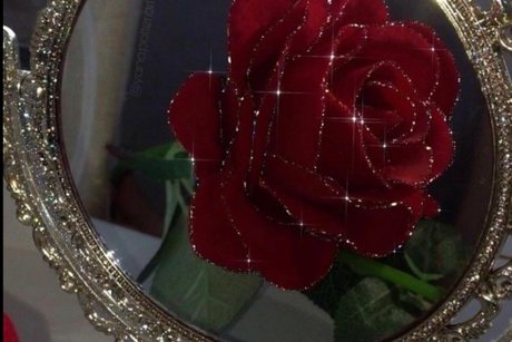 Alivia Elle_ star xxx galleries