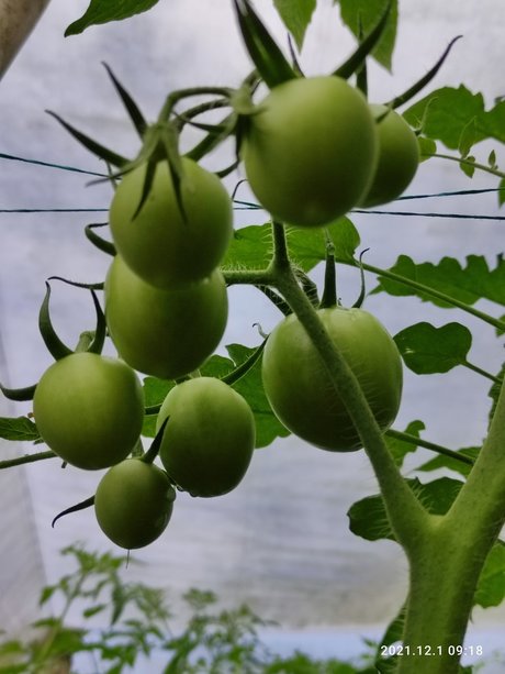 Agriculture Valley Stiven Guzman hd model img