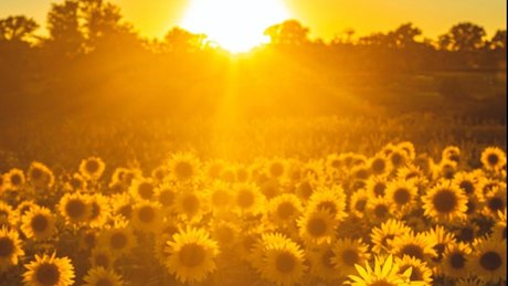 Oh Miya xxx_ beautiful model gallery