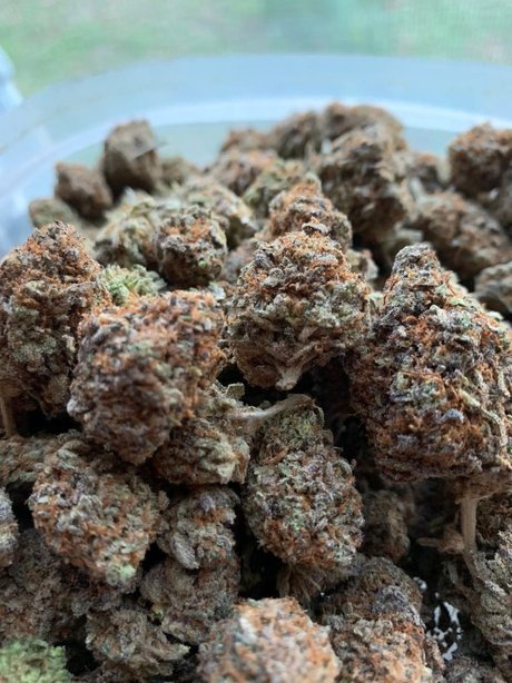 OgMack23 pornstar pretty archive