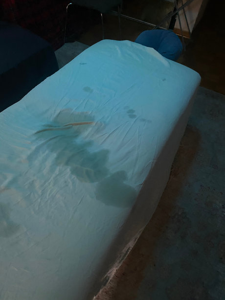 Adventures of Bo exclusive star image