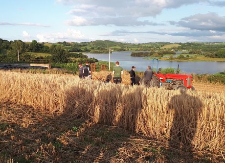 OnlyFarms art actress pictures