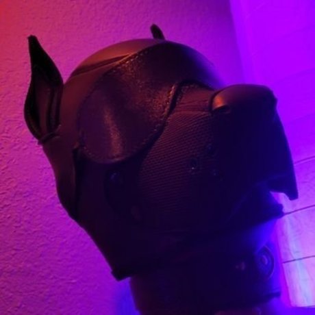 OneStretchyPup hd actress photos