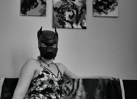 OneStretchyPup sex model galleries