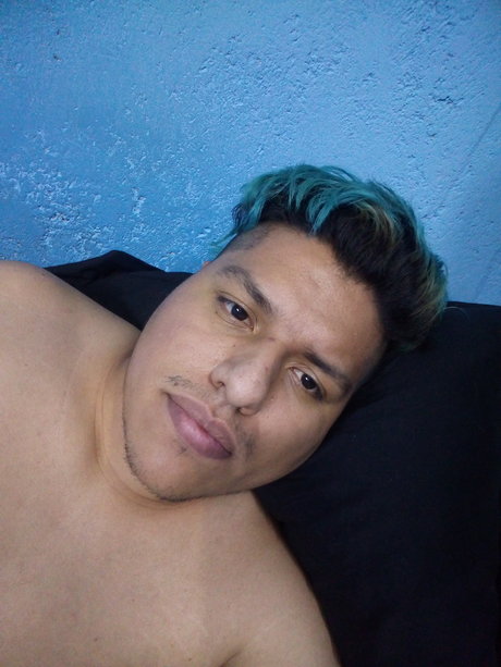 OME xxx model picture