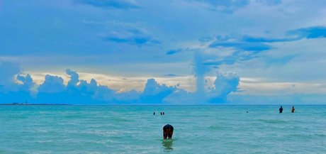 abrameduar pornstar nude pic