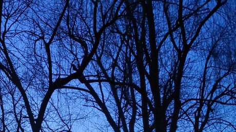 abiiighoul pornstar hot img