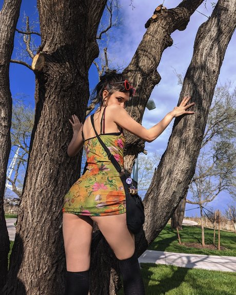 AcaciaThorn high quality model image