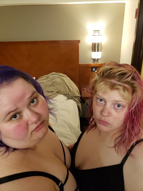 Alice The Cat hd star img