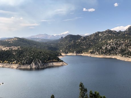 Paco Savage top pornstar gallery