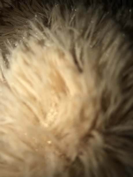 amateur pegging onlyfans free sex photos