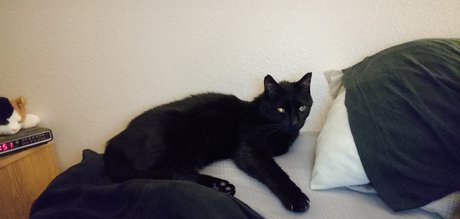 Outsdr adult model pic