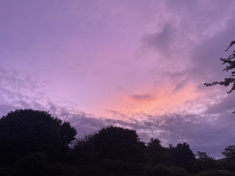 Lesbian Couple pretty actress pic