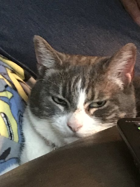 Pussyeater porn actress archive