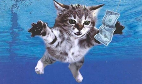 ssbbw onlyfans nice image