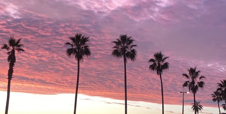 RoyTheCat star hd image