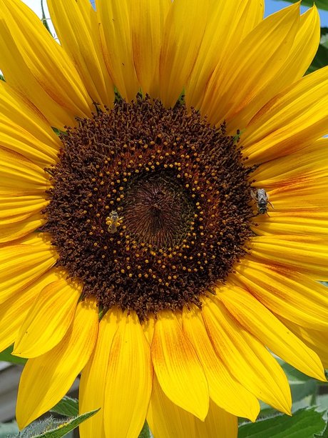 Oregongrl33 perfect actress photo