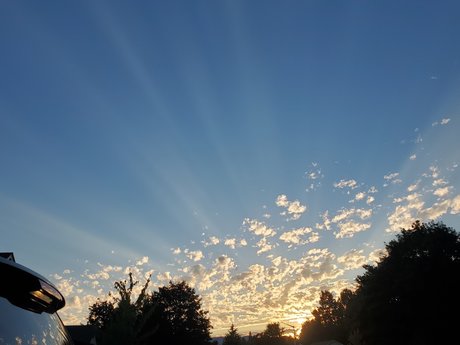 Oregongrl33 pornstar nude pics