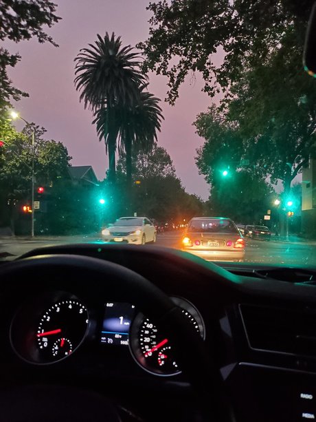 Mr Rose City_ exclusive star images