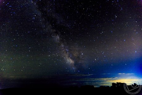 OPP Charlie naked star archive