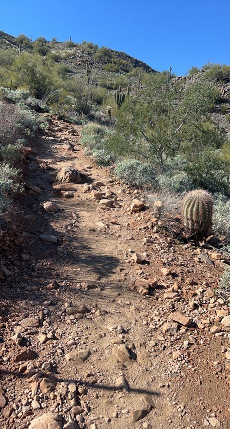 OnyxSton3 perfect model photo