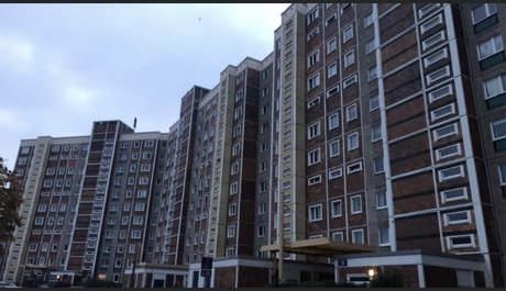 Achim art actress pic