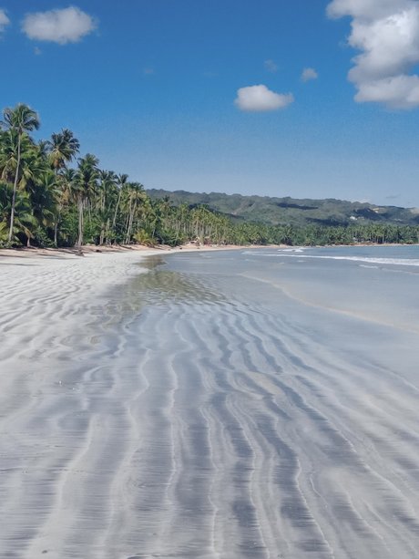 Patsy Labone erotic model img