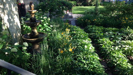 older women onlyfans perfect photo