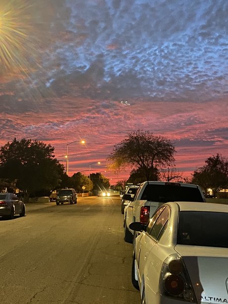 Timothy star erotic pictures