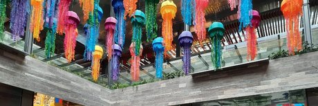 Paolo lover star beautiful pics