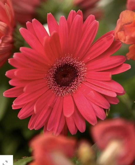 Paige Marks star nudes pic