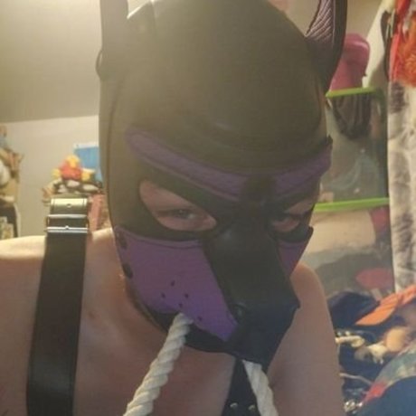 Aldawin The Love Husky hot star gallery