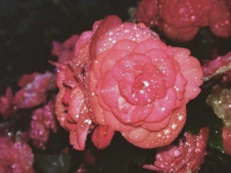 peachy babe high quality star photos