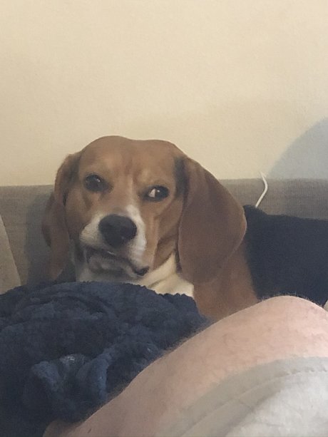 tight teen pussy onlyfans beautiful xxx image