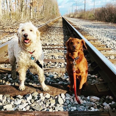 big tits nerd onlyfans top pictures