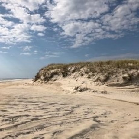 beach bum 102019 model pornographic photo