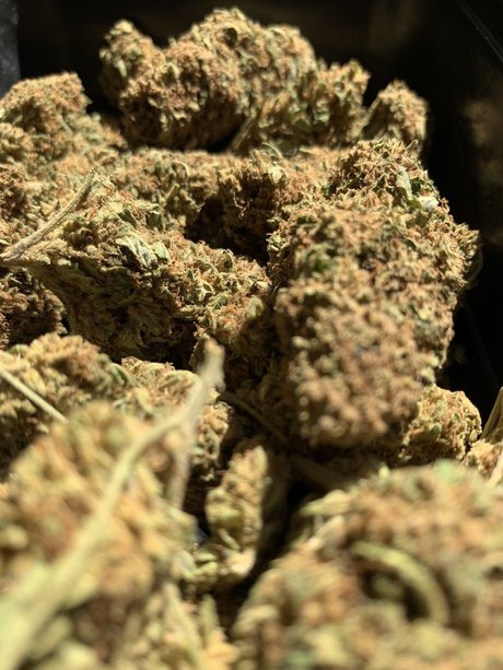 teen pantyhose onlyfans xxx pic