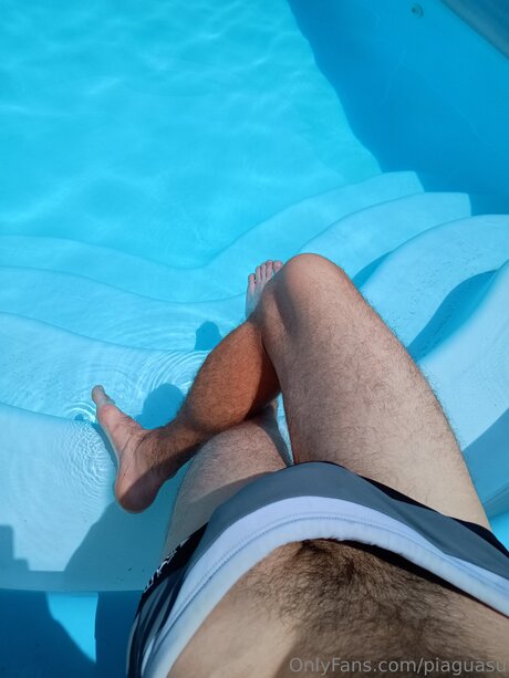 Pi Guasu pretty model archive