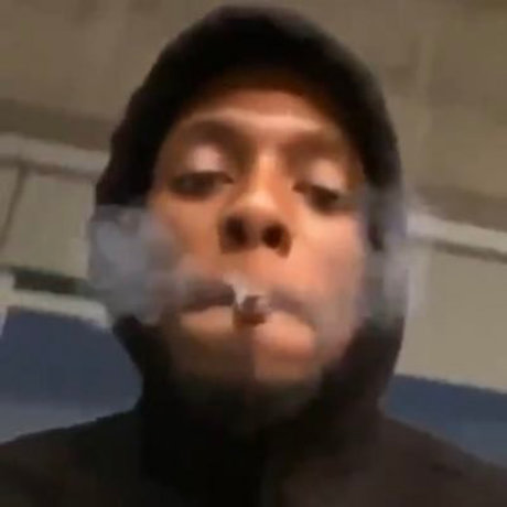 Gut Digger porn actress pictures