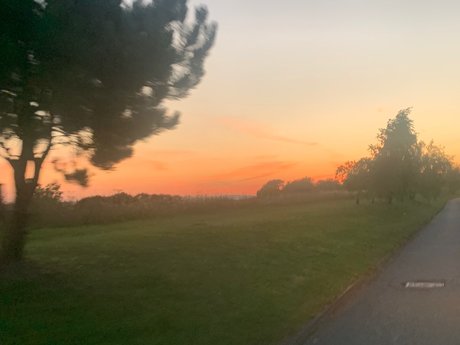 18 years old_ star adult picture