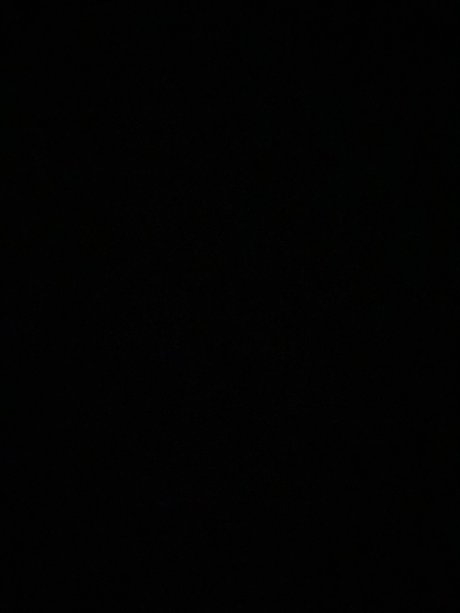 The animal xxx model archive