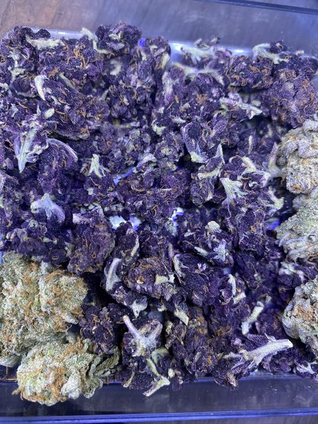 Mendocino P star nudes pictures