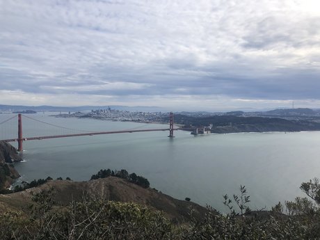 PlantDaddy SF model erotic archive