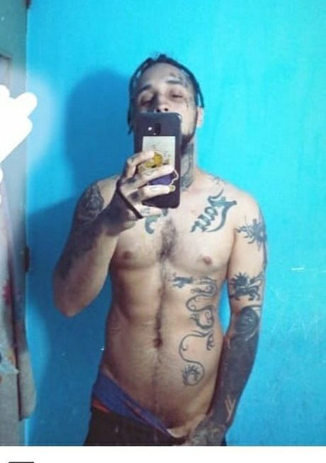 Puchy model art image