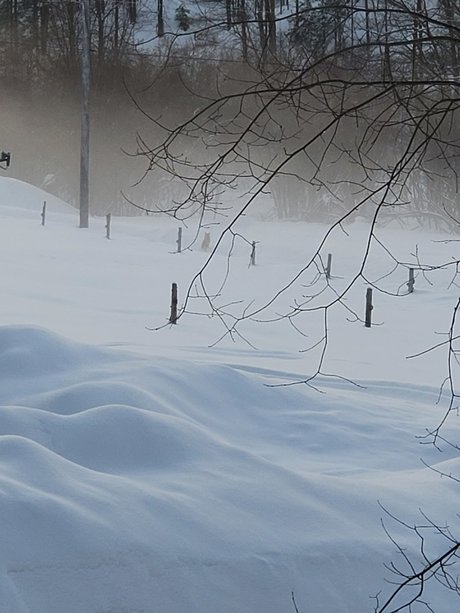 Couple6225 sex model photo