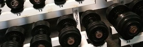 Pony Tails pornographic model pics