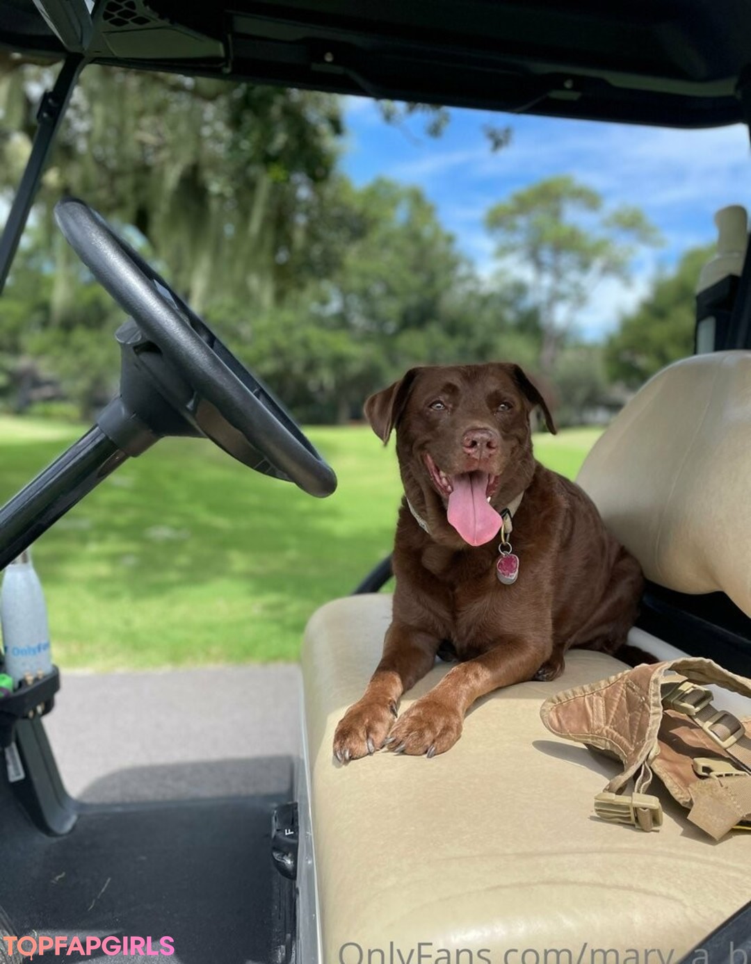 mary a b sex pornstar galleries