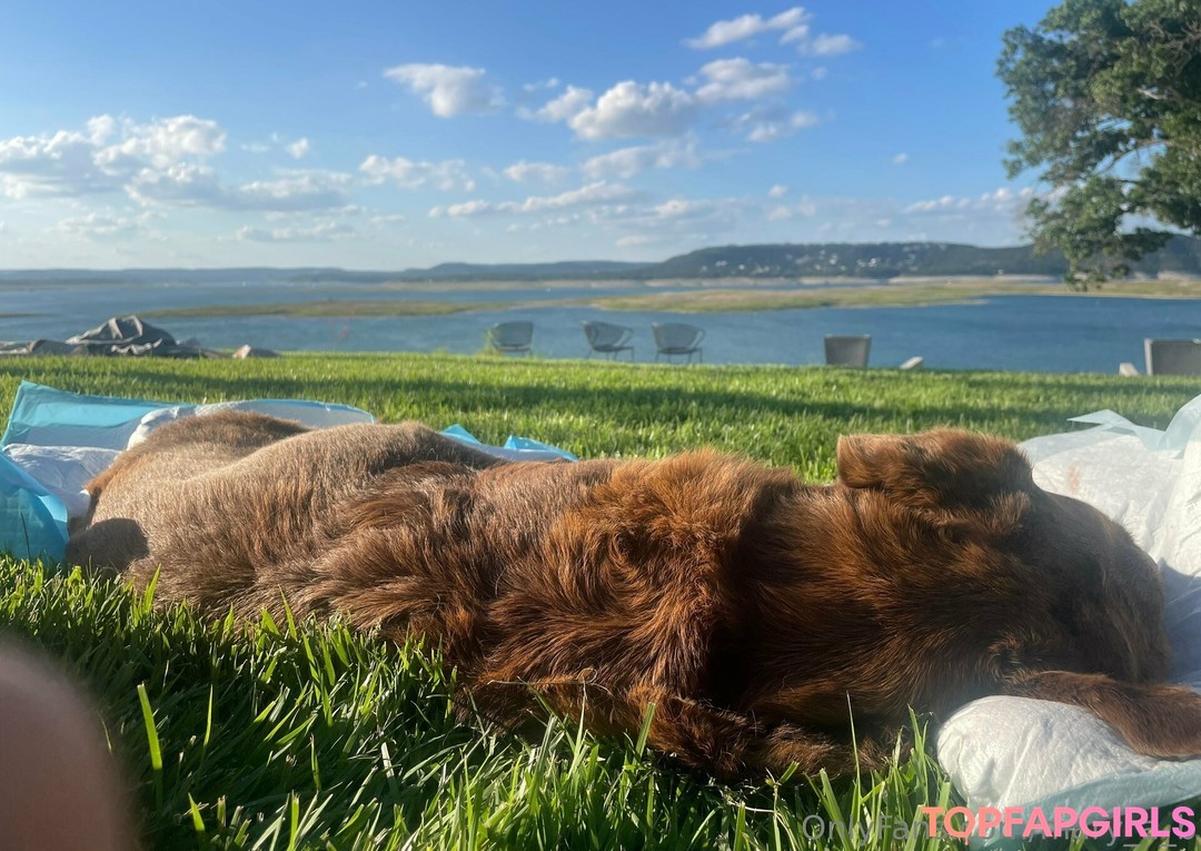 mary a b hd actress images